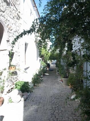 Ektenis Konuk Evi - Görsel 3