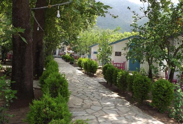 Zebu Hotel Adrasan - Görsel 19