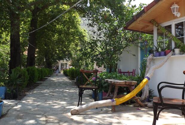 Zebu Hotel Adrasan - Görsel 18