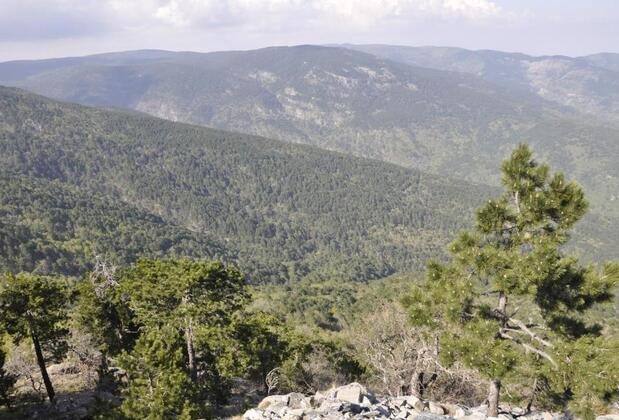 Misanlı Boutique Hotel - Görsel 14