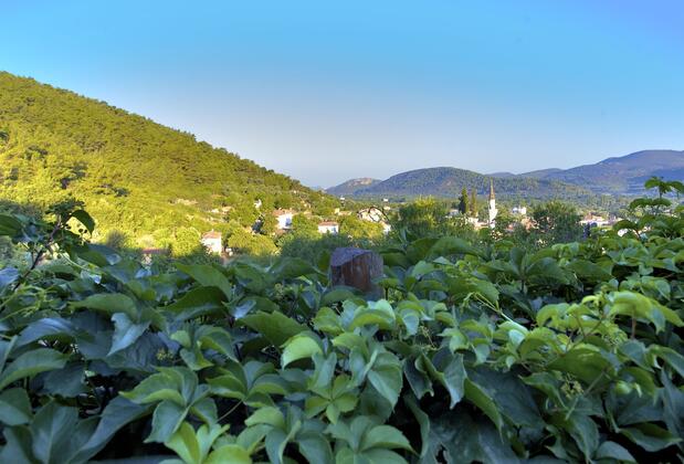 Ephesus Butik Otel - Görsel 2