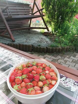 Kılıç Apart Otel - Görsel 8