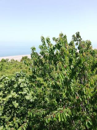 Kılıç Apart Otel - Görsel 12