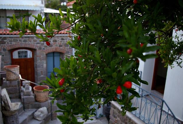 Hera Boutique Hotel - Görsel 3