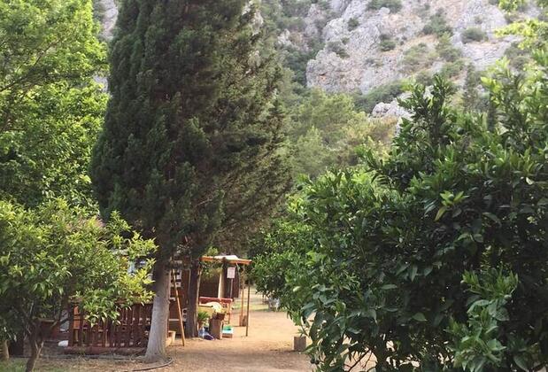 Papaya Camping - Görsel 5