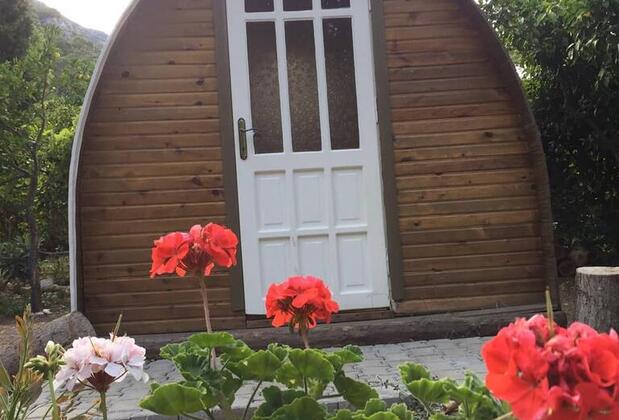 Papaya Camping - Görsel 3