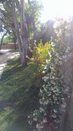 Salkım Butik Otel Gökçeada - Görsel 27