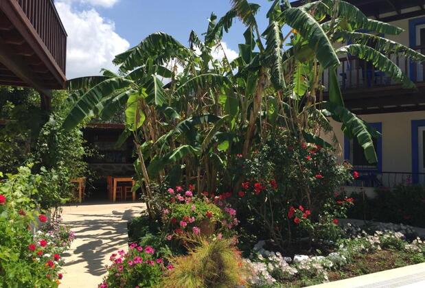 Paradise Garden Apart - Görsel 5