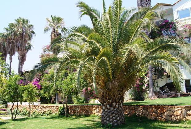 Hotel Pataros - Görsel 3