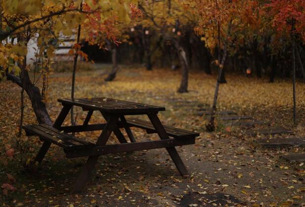 Mir o Mara Boutique Hotel & Lounge Bar - Görsel 3