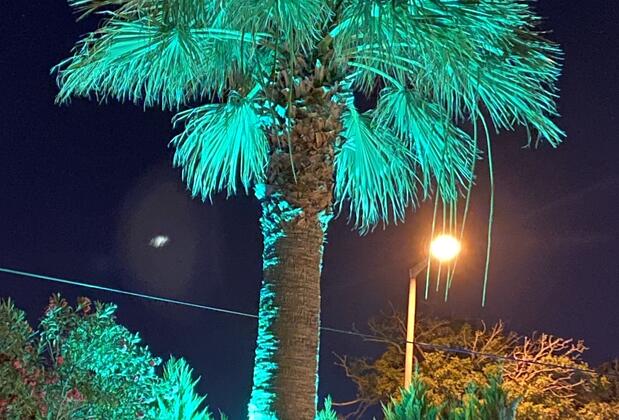 Maviev Hotel - Görsel 4