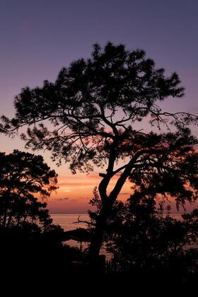 Yuva Eco Holiday - Görsel 4