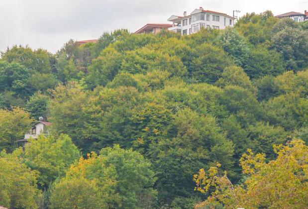 Room Room Boutique Hotel - Görsel 8