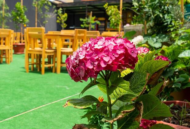 Galenos Hotel - Görsel 30