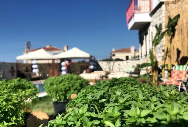 Alacati Viola Hotel - Görsel 6