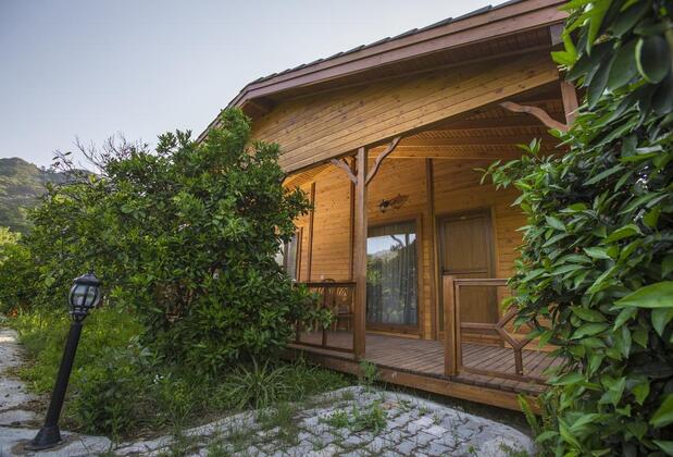 Çıralı Villas - Görsel 14