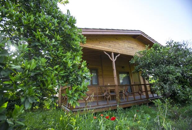 Çıralı Villas - Görsel 15