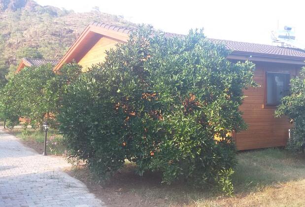 Çıralı Villas - Görsel 28