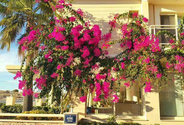 Kamer Suites Hotel - Görsel 27