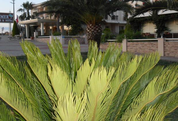 Kamer Suites Hotel - Görsel 42