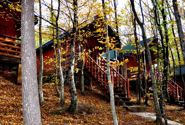 Karaca Dağ Evleri - Görsel 19