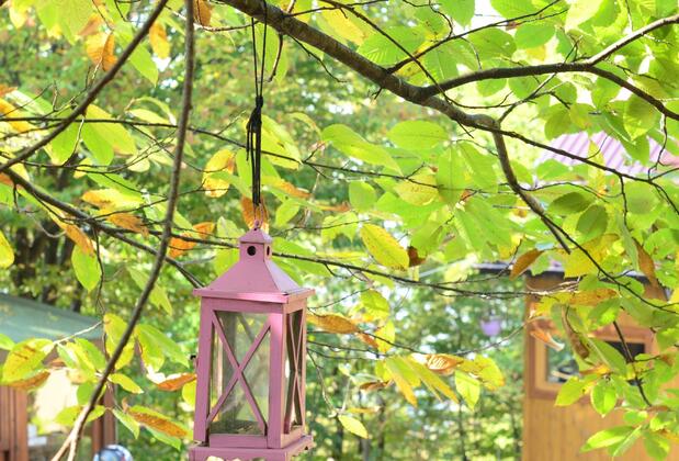 Karaca Dağ Evleri - Görsel 6