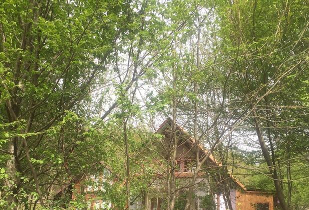 Karaca Dağ Evleri - Görsel 32