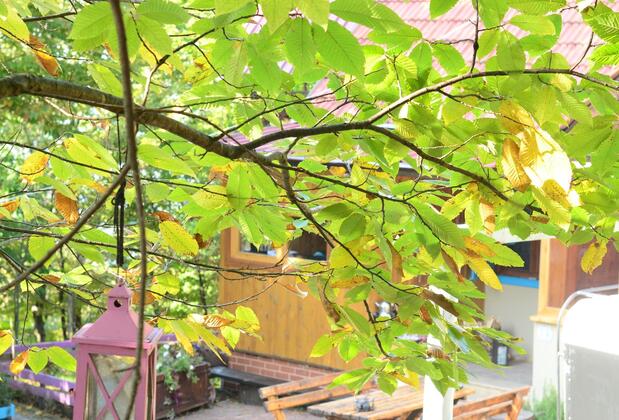 Karaca Dağ Evleri - Görsel 16