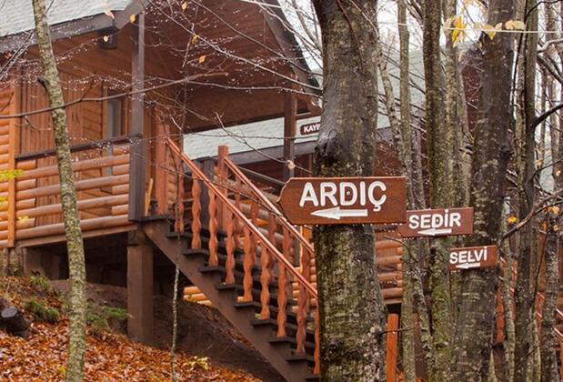 Karaca Dağ Evleri - Görsel 7