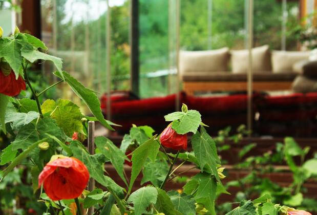 Karaca Dağ Evleri - Görsel 28