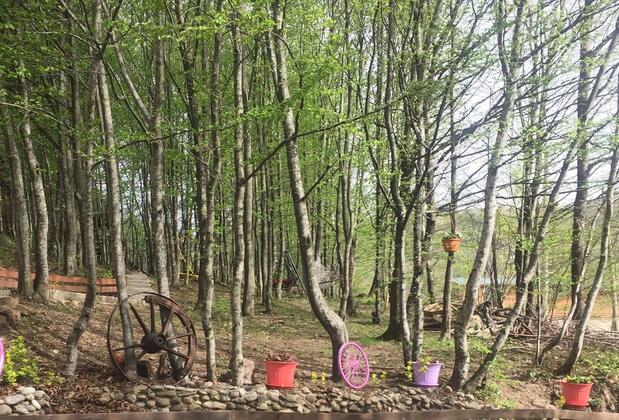 Karaca Dağ Evleri - Görsel 21