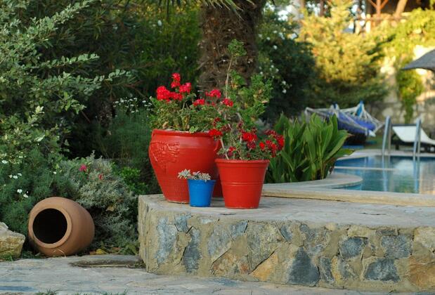 Bakkhos Guesthouse Kuşadası - Görsel 3