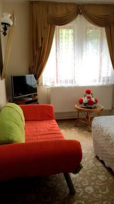 Abant Yeşil Vadi Koç Pansiyon - Görsel 13