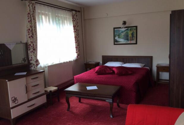 Abant Yeşil Vadi Koç Pansiyon - Görsel 14