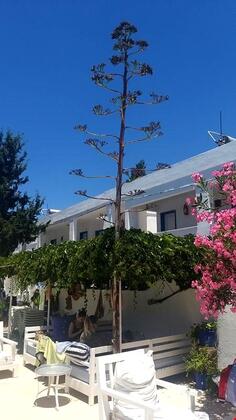 Ilgın Butik Otel - Görsel 4