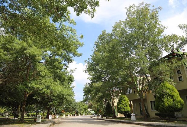 Doğa Tatil Köyü - Görsel 9