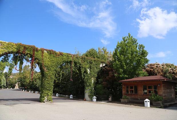 Doğa Tatil Köyü - Görsel 3