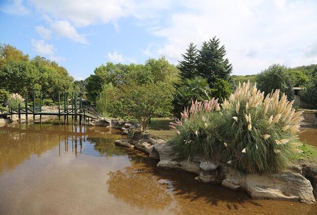 Doğa Tatil Köyü - Görsel 20