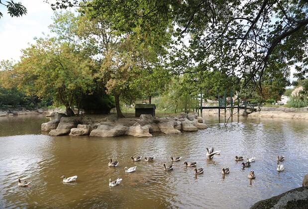 Doğa Tatil Köyü - Görsel 19