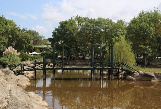 Doğa Tatil Köyü - Görsel 11