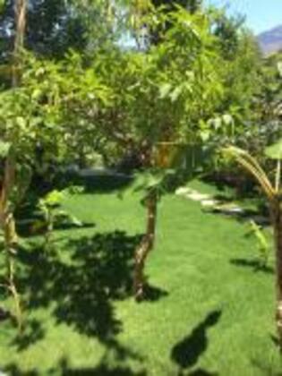 Duru Konukevi Selimiye - Görsel 4