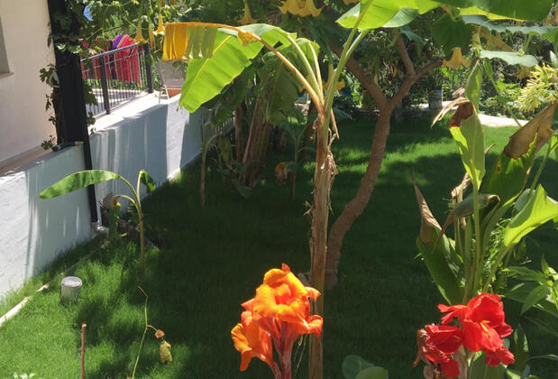 Duru Konukevi Selimiye - Görsel 5