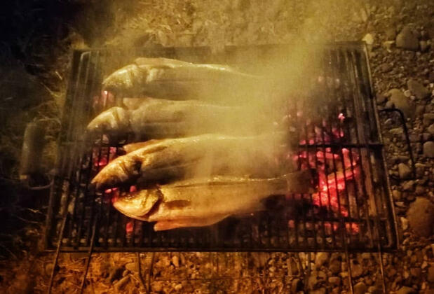 Salkım Saçak Camping - Görsel 18