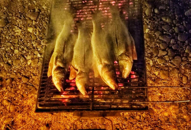 Salkım Saçak Camping - Görsel 29