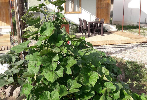 Salkım Saçak Camping - Görsel 40