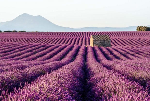 Grand Turkuaz Hotel - Görsel 34