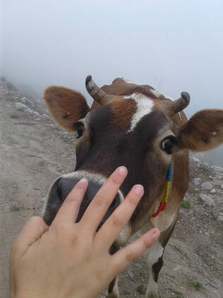 Baba Ahmet Apart Pansiyon & Restaurant - Görsel 10