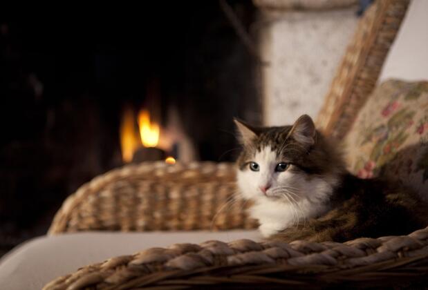 Alaçatı Taş Otel - Görsel 18