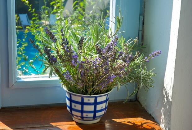 Alaçatı Taş Otel - Görsel 36