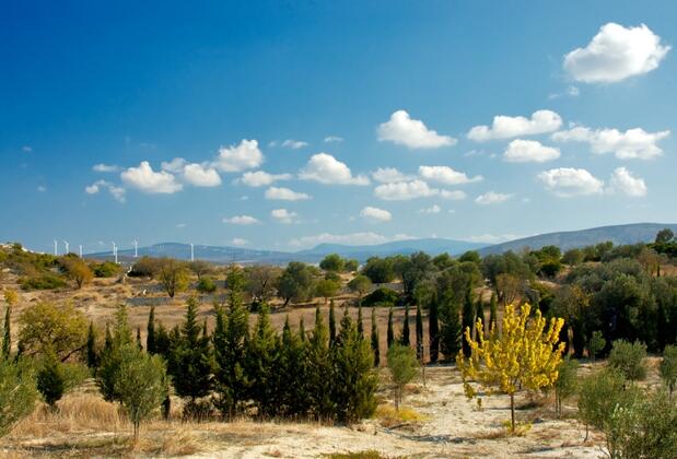 Alaçatı Taş Otel - Görsel 49